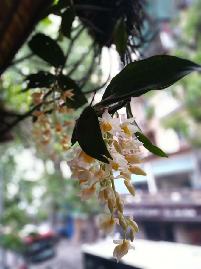 Hanoi Balcony Homestay Ngoại thất bức ảnh