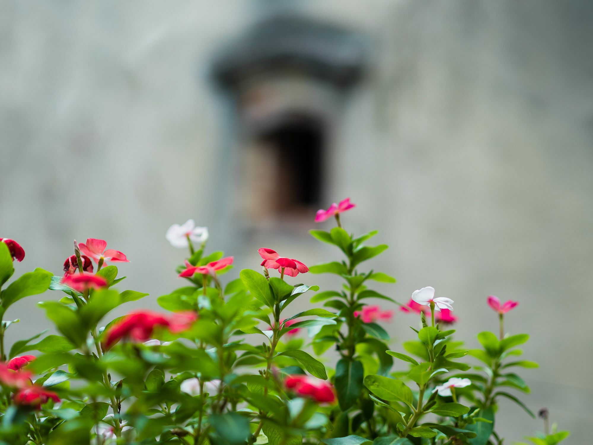 Hanoi Balcony Homestay Ngoại thất bức ảnh